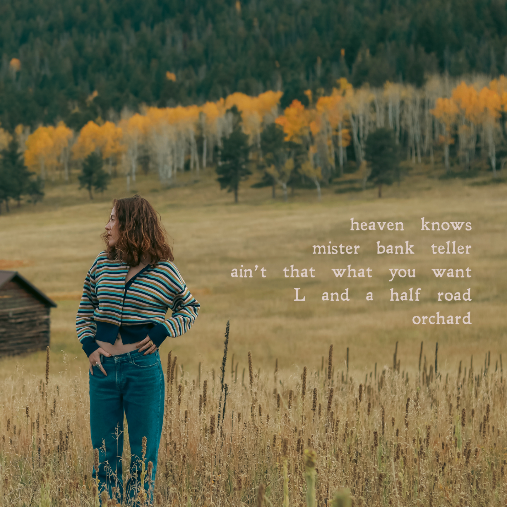 Tracklist visual